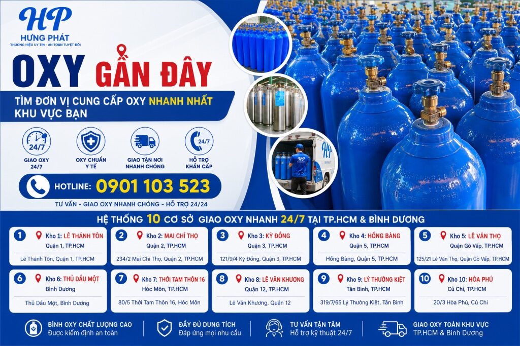 Có Nên Chuẩn Bị Bình Oxy Tại Nhà Cho Người Lớn Tuổi - hình 5